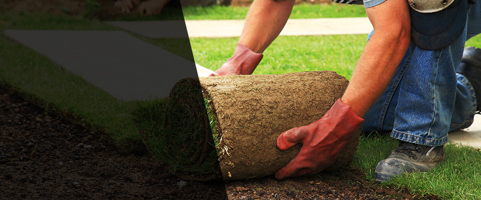 Petersburg Landscapers